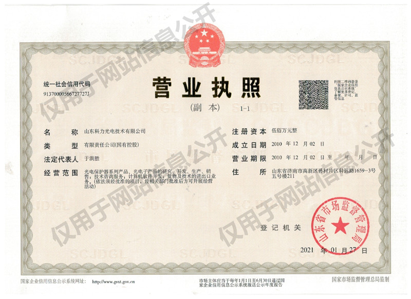 山东科力光电技术有限公司